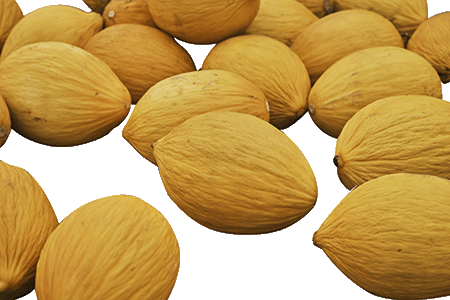 Melones