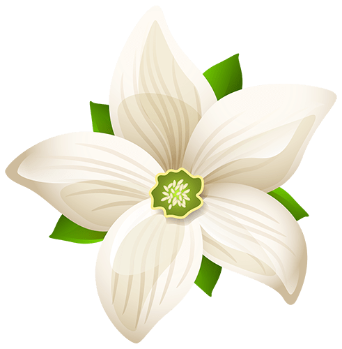 Flor blanca con verde