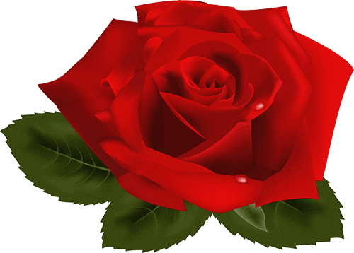 Flor rosa
